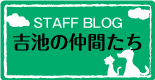 吉池獣医科病院スタッフブログ